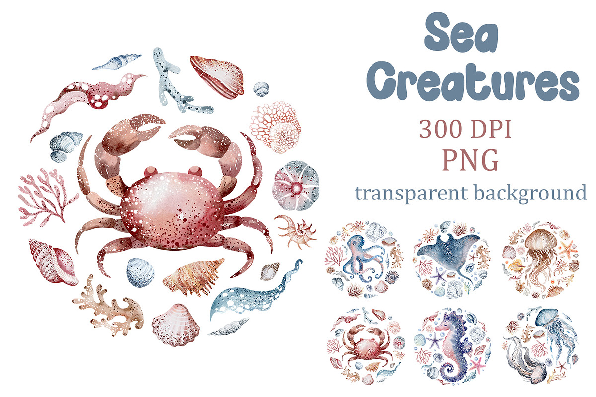 Watercolor Sea Creatures, an Animal Illustration by LenArt (Photo 1 of 4)
