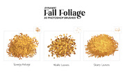 Autumn Fall Foliage Brushes, a Brush Add-On by Mohamed Saber (Thumbnail 2 of 6)