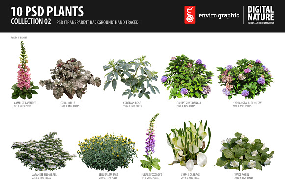 10 PSD Plants Collection 2 preview 5