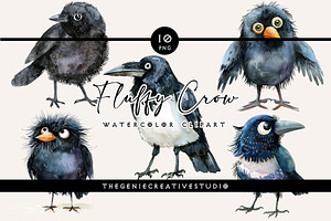 Fluffy Crow PNG Clipart Set