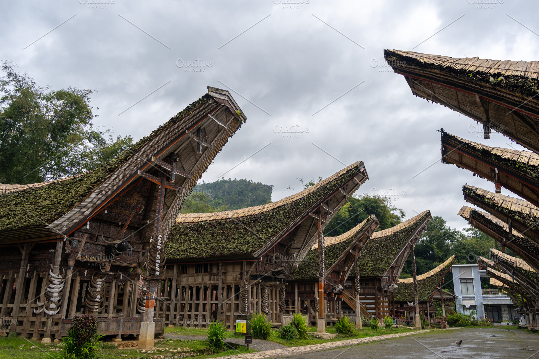 Traditional Toraja houses with buffalo horns, Sulawesi, Indonesi, an Architecture Photo by GoodGoods