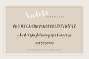 Violets | thick brush font, a Handwritten Font by Art pages (Thumbnail 4 of 12)