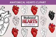 Anatomical Heart Clipart, an Illustration by SLS Lines (Thumbnail 5 of 5)