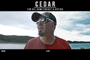 DJI OSMO | CEDAR LUT PACK, a Layer Style Add-On by Josh Zaring Studios (Thumbnail 5 of 6)