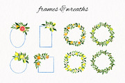 Citrus. Watercolor collection, an Illustration by Kuzya's shop (Thumbnail 4 of 9)