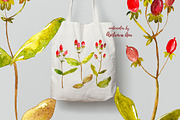 Watercolor berry, a Food Illustration by Ann Astro (Thumbnail 5 of 5)