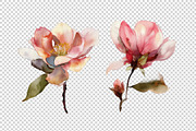 Watercolor Flowers, a Decorative Illustration by BazziBa♥ (Thumbnail 6 of 9)
