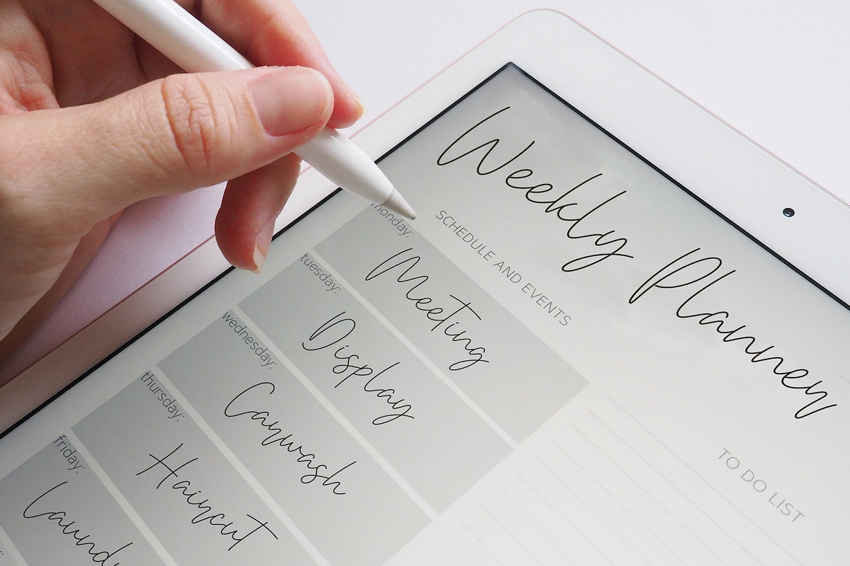 Bethan White - Monoline Script Font, a Script Font by StringLabs (Photo 3 of 14)