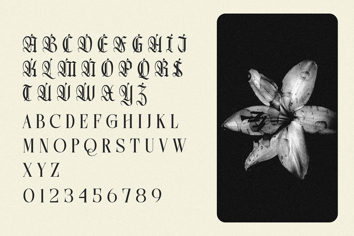 Northvale Blackletter Serif Font, a Blackletter Font by Heinzel Std (Photo 8 of 10)