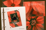 Christmas Poinsettia - Soft Floral, a Background Graphic by DigARTbyHavroshka (Thumbnail 5 of 9)