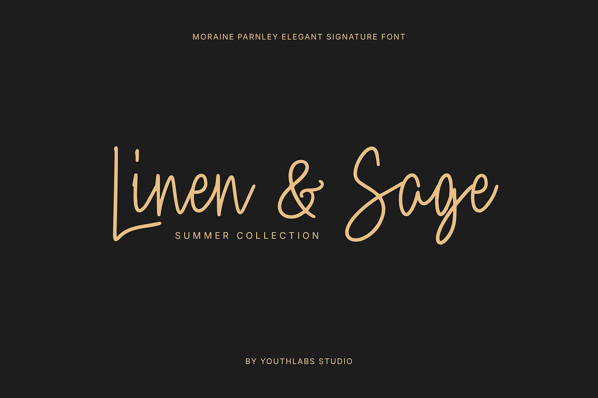 Moraine Parnley - Elegant Signature, a Handwritten Font by Youthlabs Studio (Photo 7 of 12)
