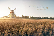 Autumn rural landscape, a Food Illustration by Countryside life (Thumbnail 3 of 9)