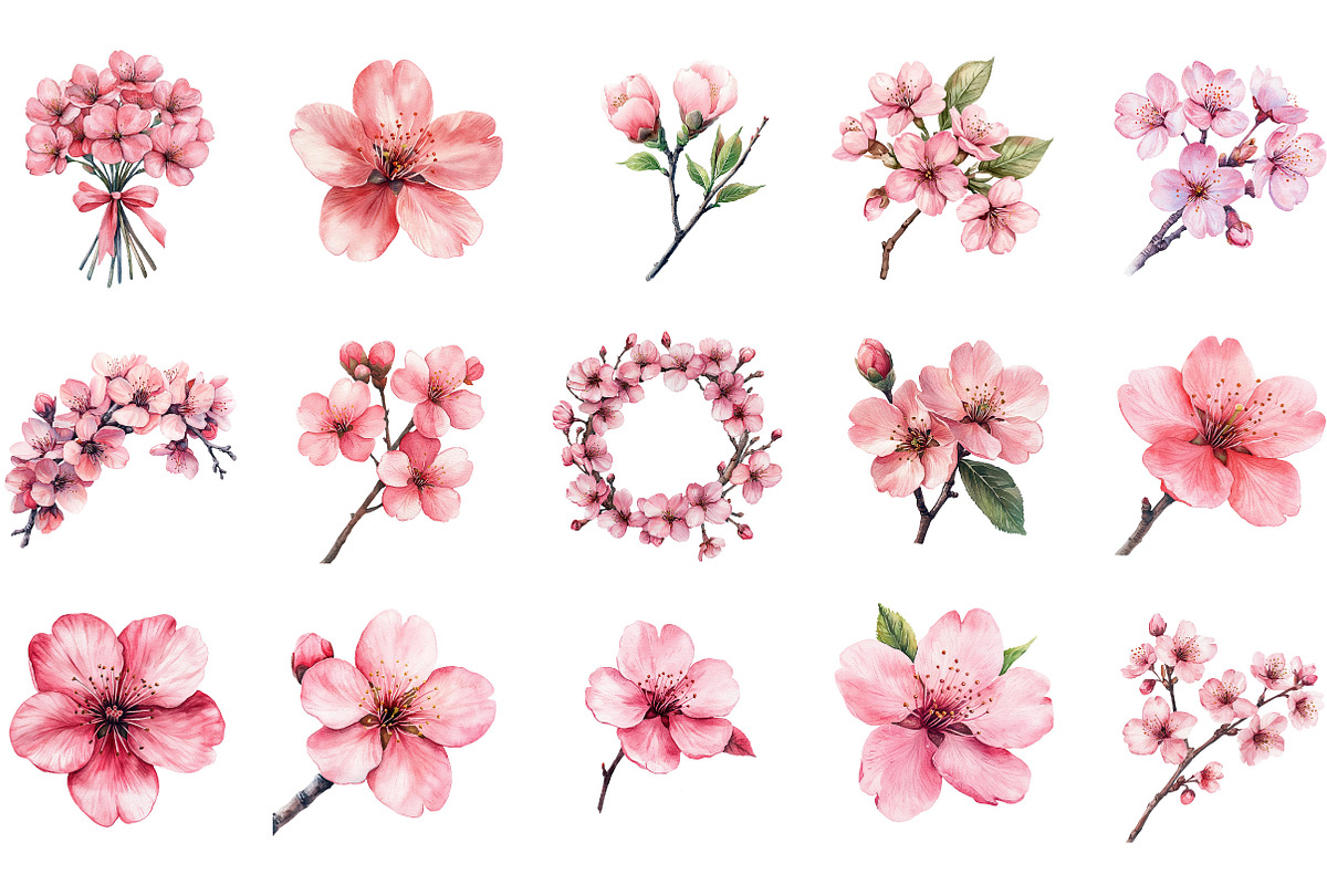 Watercolor Sakura Blossoms Clipart, an Illustration by Designking (Photo 2 of 5)