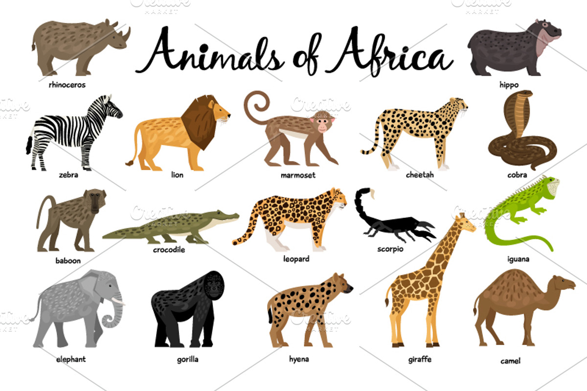 Big Set of Animals, an Object Graphic by ianakauri (Photo 6 of 12)