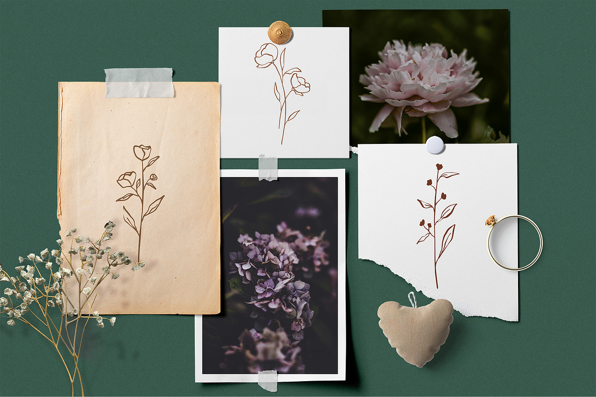 Botanical Line Art Logo, an Illustration by Backyard Rose (Photo 7 of 12)