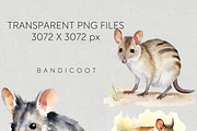 Bulk Australian Animals Clipart PNG, an Animal Illustration by Pawcasso's Portraits (Thumbnail 2 of 10)