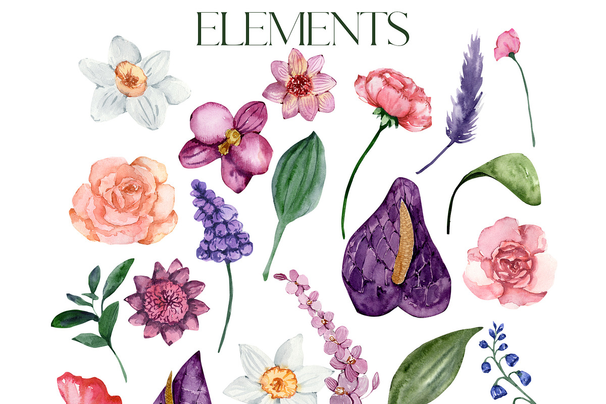 SALE! Florena watercolor floral, a Decorative Illustration by Julia Bogdan (Photo 10 of 10)