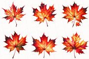 Watercolor Autumn Leaf Clipart, an Illustration by OK Design (Thumbnail 3 of 5)