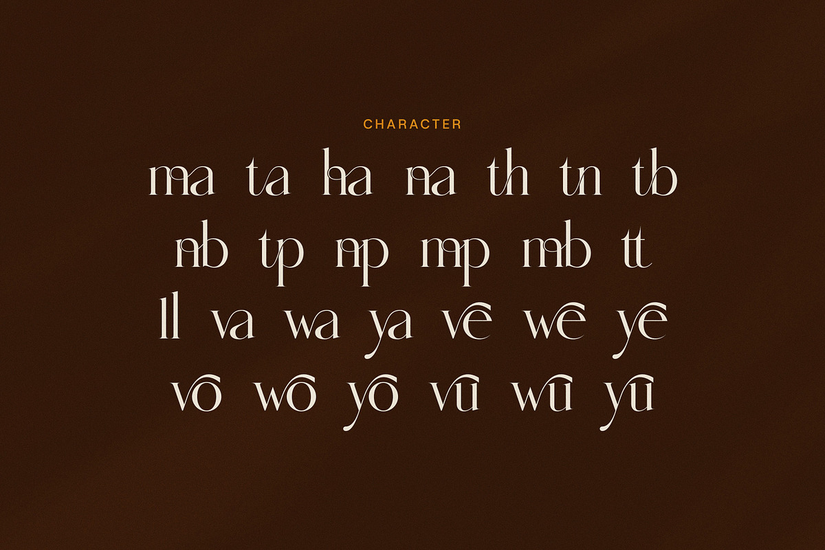 Qinanta Elegant Font, a Serif Font by Graphicxell (Photo 8 of 8)