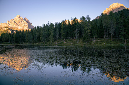 Trees reflecting in Lago d'Antorno