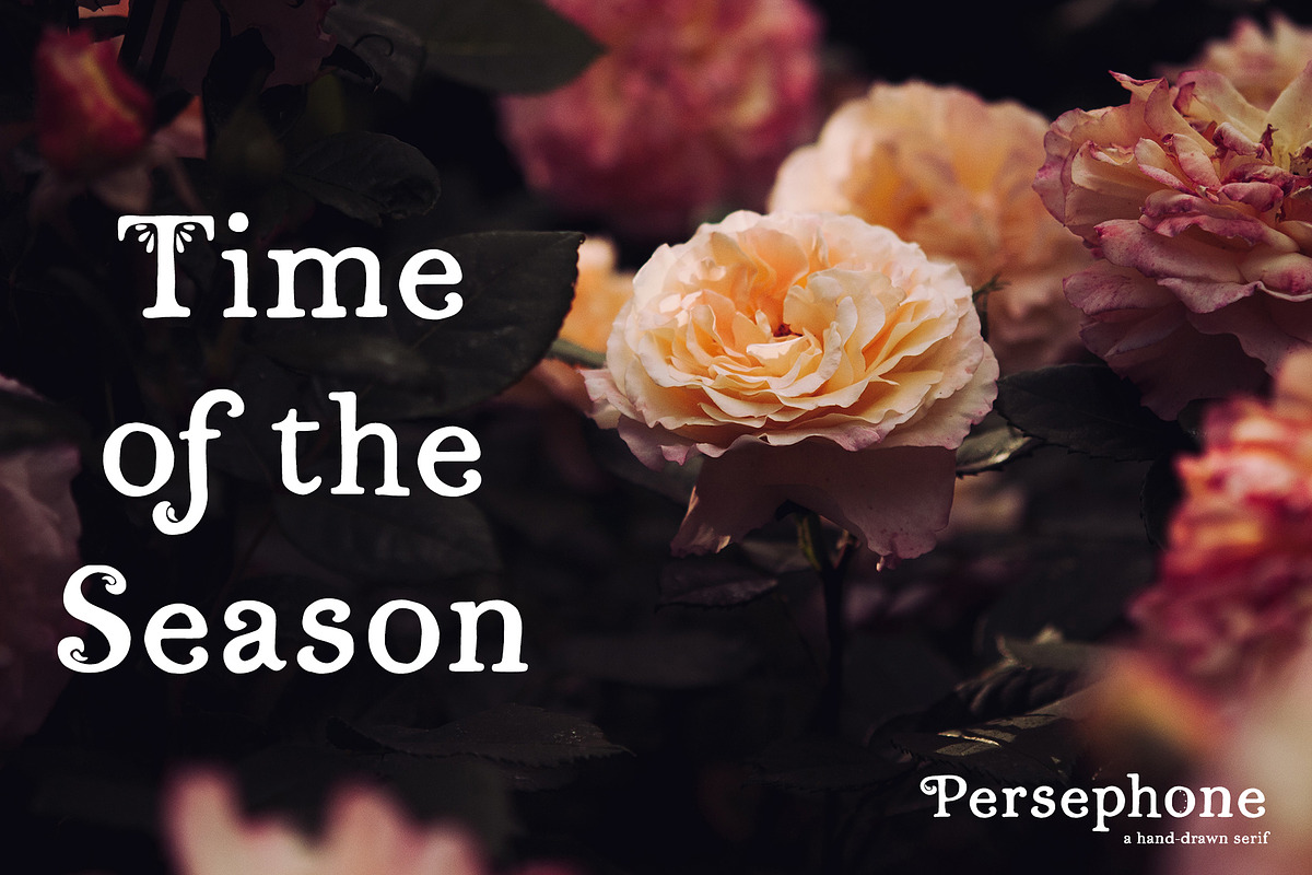 Persephone // A Hand-Drawn Serif, a Serif Font by Megs Lang (Photo 12 of 25)