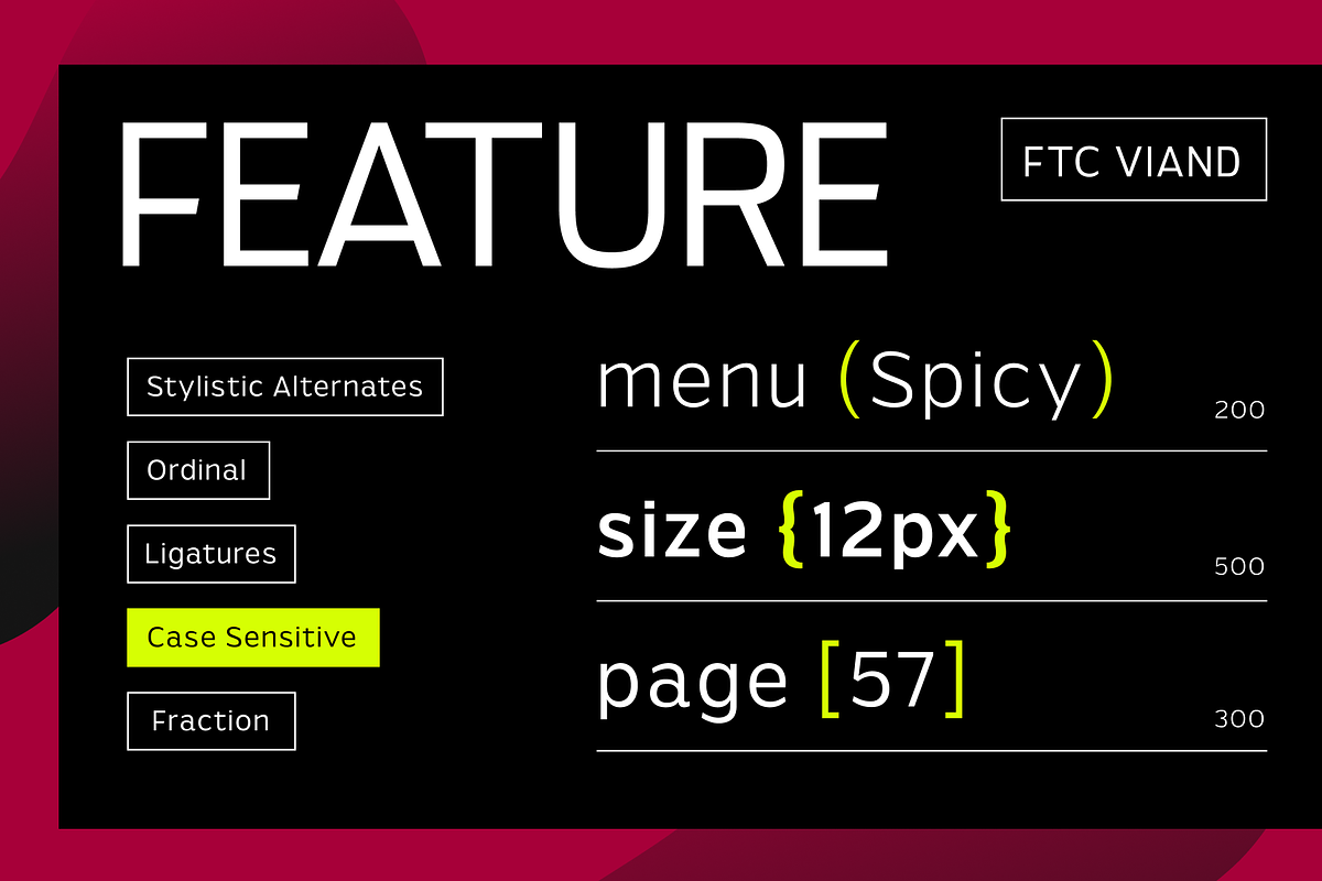 Viand — A Versatile Sans with Flavor, a Sans Serif Font by Fridaytype (Photo 14 of 15)