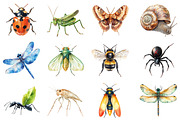 Insects Clipart Bundle, an Illustration by Daily.Designs (Thumbnail 3 of 3)