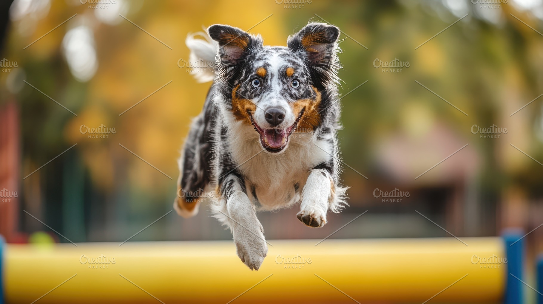 Energetic canine leaps over obstacle, an Animal Photo by Pixeness Studio