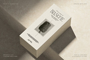 French Voyager - Chic Ligature Serif, a Serif Font by SilverStag Type Foundry (Thumbnail 2 of 23)
