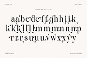 The Andalucia Serif, a Serif Font by Pista Mova (Thumbnail 18 of 26)