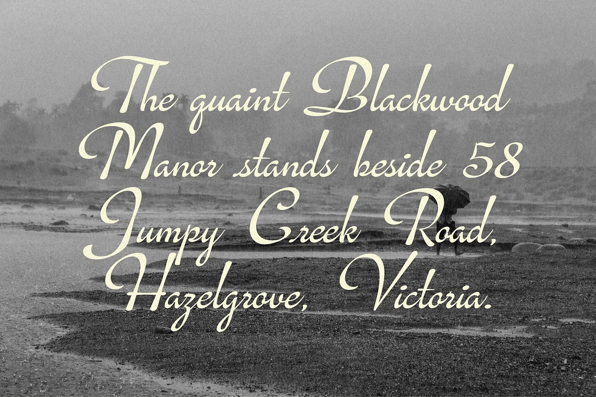 Bravelyn Script Family, a Script Font by Get Studio (Photo 9 of 12)