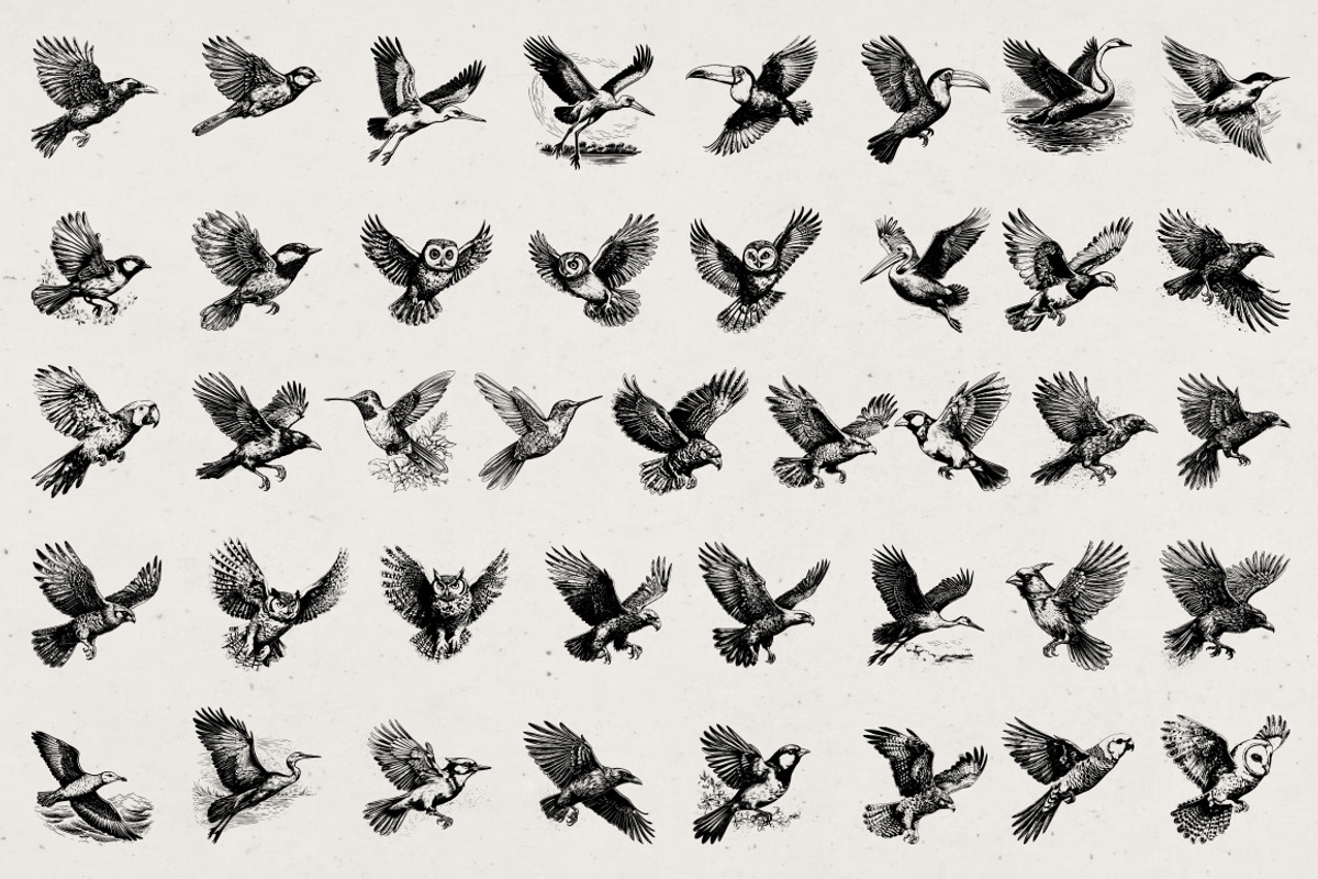 260 Birds Illustrations, an Animal Illustration by Nocturnal Wolf (Photo 4 of 13)