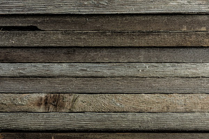 Wood End Grain Texture
