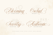 Le Maire - Modern Cursive Script, a Script Font by Pixesia Studio (Thumbnail 9 of 11)