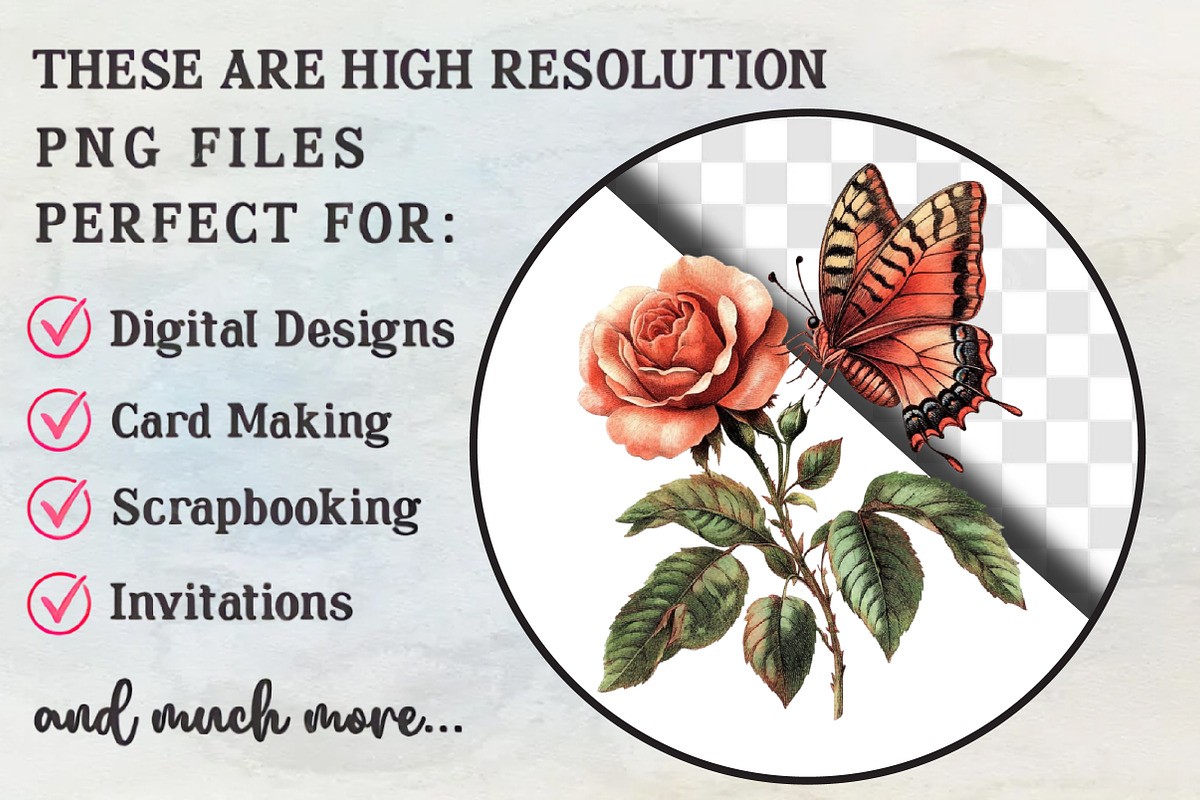 Enchanted Love Garden Clipart Collec, an Illustration by RobertsArt (Photo 2 of 7)