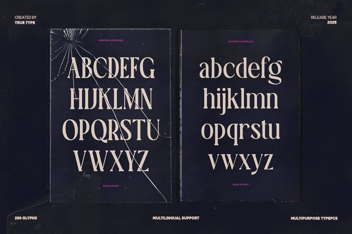 TT Montero Serif Condensed, a Serif Font by truetype (Photo 5 of 15)