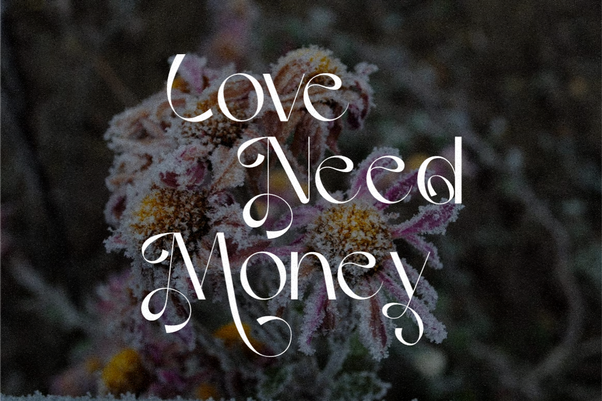 Vilergan Serif Font, a Serif Font by Typegoals Studio (Photo 4 of 9)
