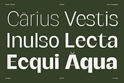 SG Verace Display Font, a Sans Serif Font by Studio Gulden (Thumbnail 7 of 15)