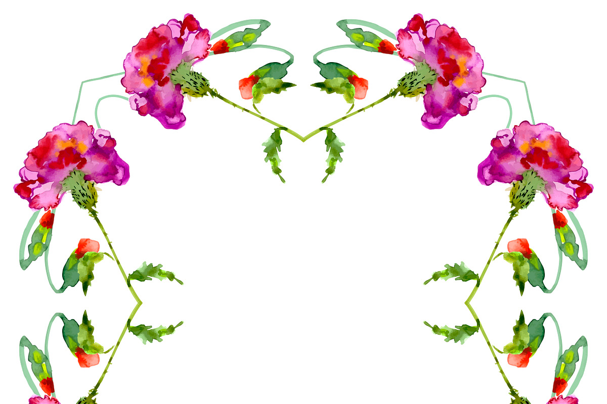 №10 Red carnations blooming, a Decorative Illustration by Rasveta (Photo 4 of 5)