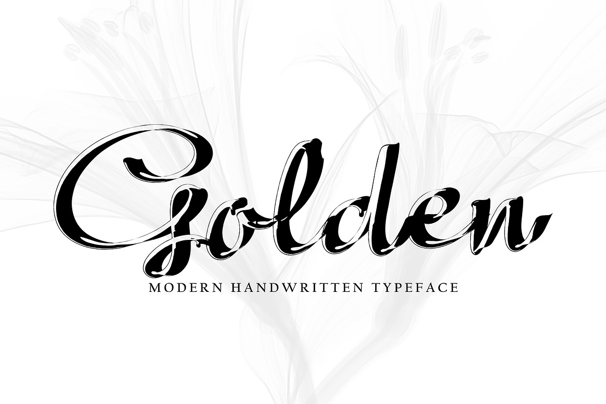 Alega, a Script Font by pineungtype (Photo 3 of 10)