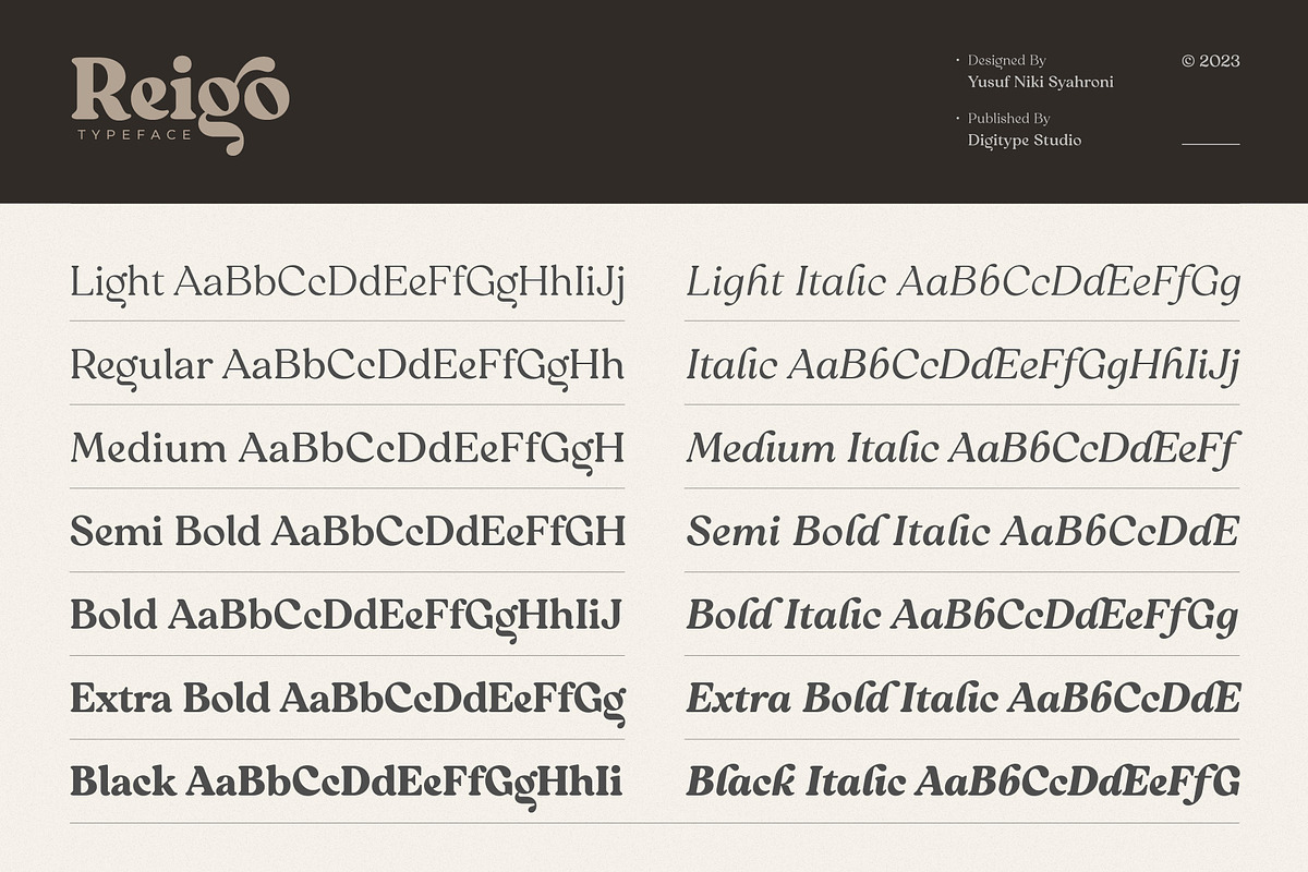 Reigo Complete Family, a Font by Digitype Studio (Photo 2 of 15)