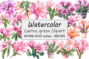 Cactus green Clipart, an Illustration by Design Market