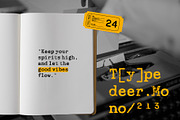 TypedeerMono - Typewriter Stamp Font, a Slab Serif Font by Drizy (Thumbnail 4 of 10)