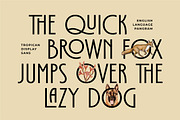 Tropican Display Sans, a Sans Serif Font by Letteralle Studios (Thumbnail 4 of 10)