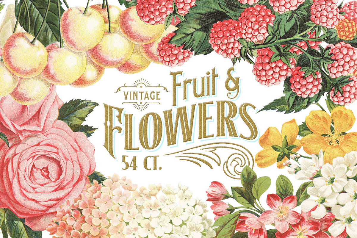 MASSIVE Vintage Fruit and Flowers, an Object Graphic by Eclectic Anthology (Photo 1 of 12)