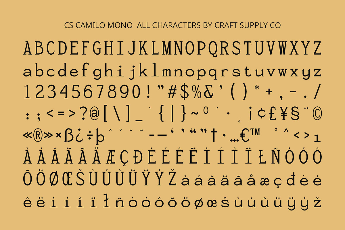 CS Camilo Mono – Monospaced Font, a Sans Serif Font by Craft Supply Co. (Photo 8 of 8)
