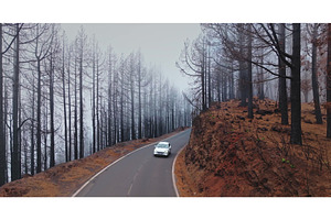 White car driving through burnt