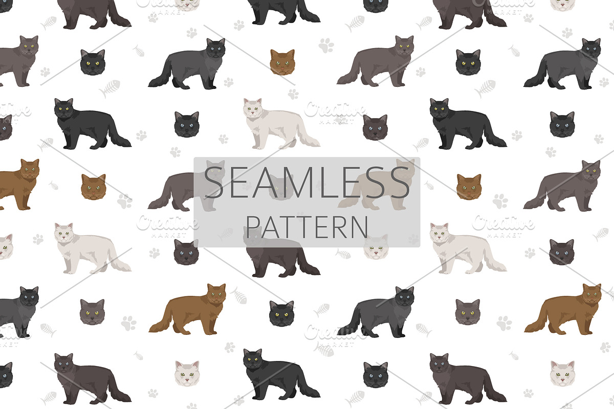Chantilly Tiffany Cat clipart set, an Animal Illustration by pet design shop (Photo 6 of 6)