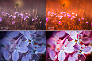 Dreamy Colors Lr Presets