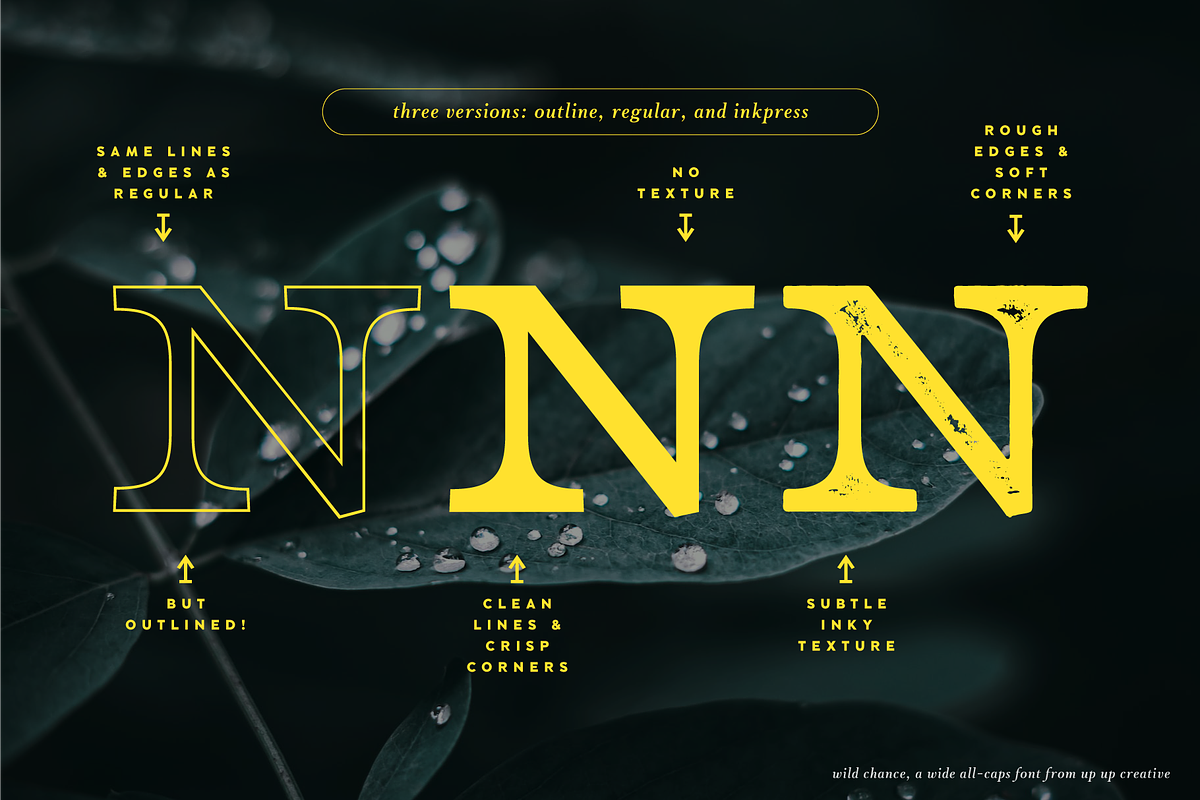 Wild Chance Complete 6-Font Family, a Serif Font by Up Up Creative (Photo 3 of 15)